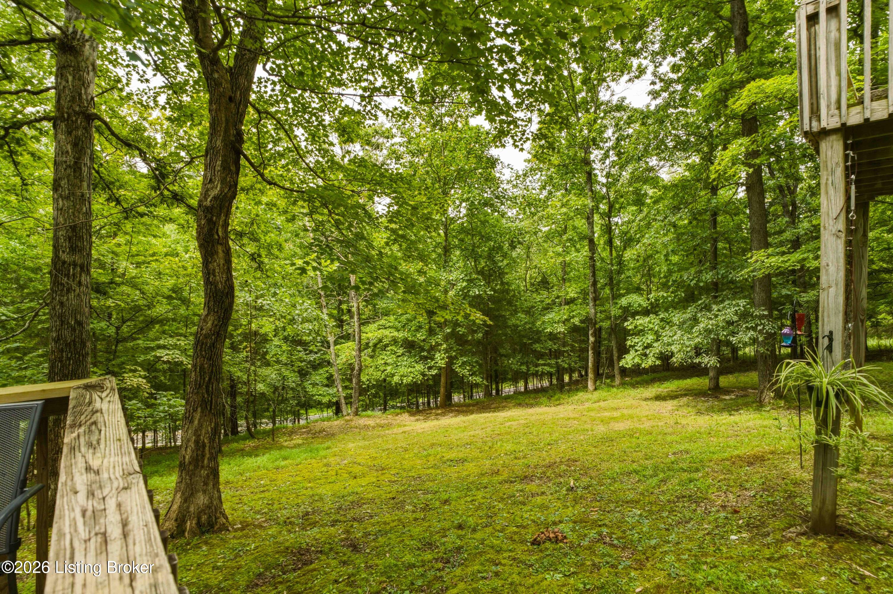 957 Wildflower Ridge Road Brandenburg, KY 40108 - Photo 70 of 70 69-Side-Yard