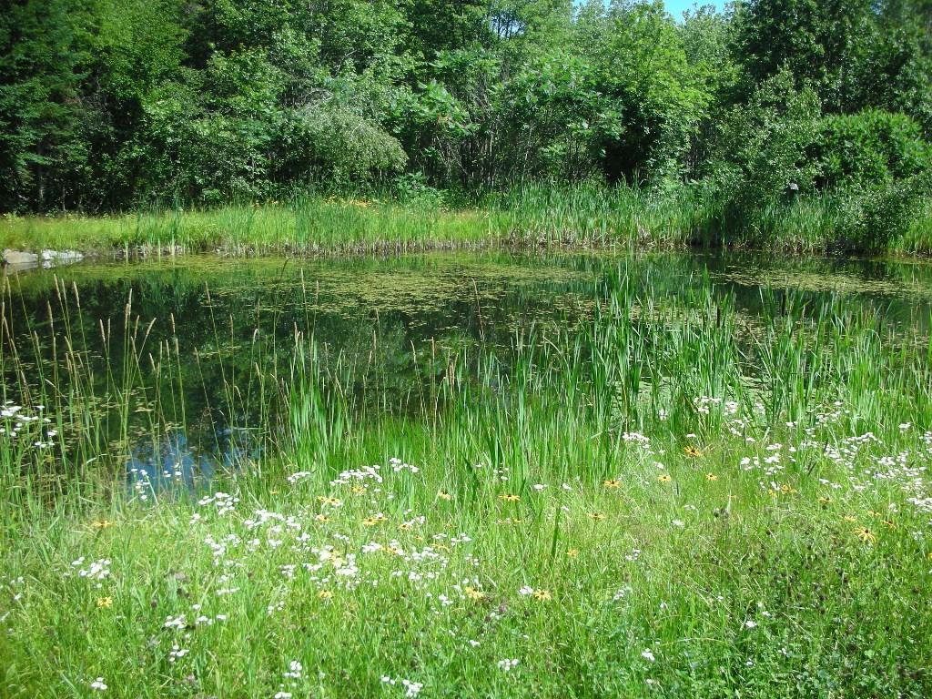263 Rockland Road Jefferson, ME 04348 - Photo 20 of 27 Photo