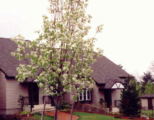 18 A Highfield Road, Unit 18 Charlton, MA 01507 - Photo 1 of 1 Gallery Image 1