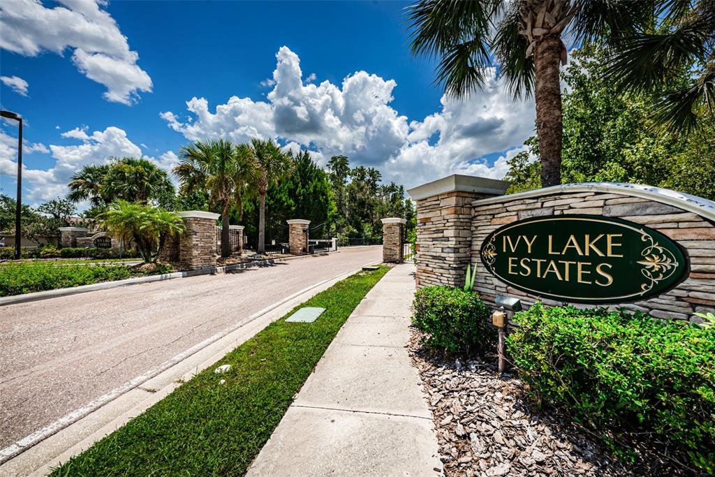 16207 Rambling Road Odessa, FL 33556 - Photo 62 of 76