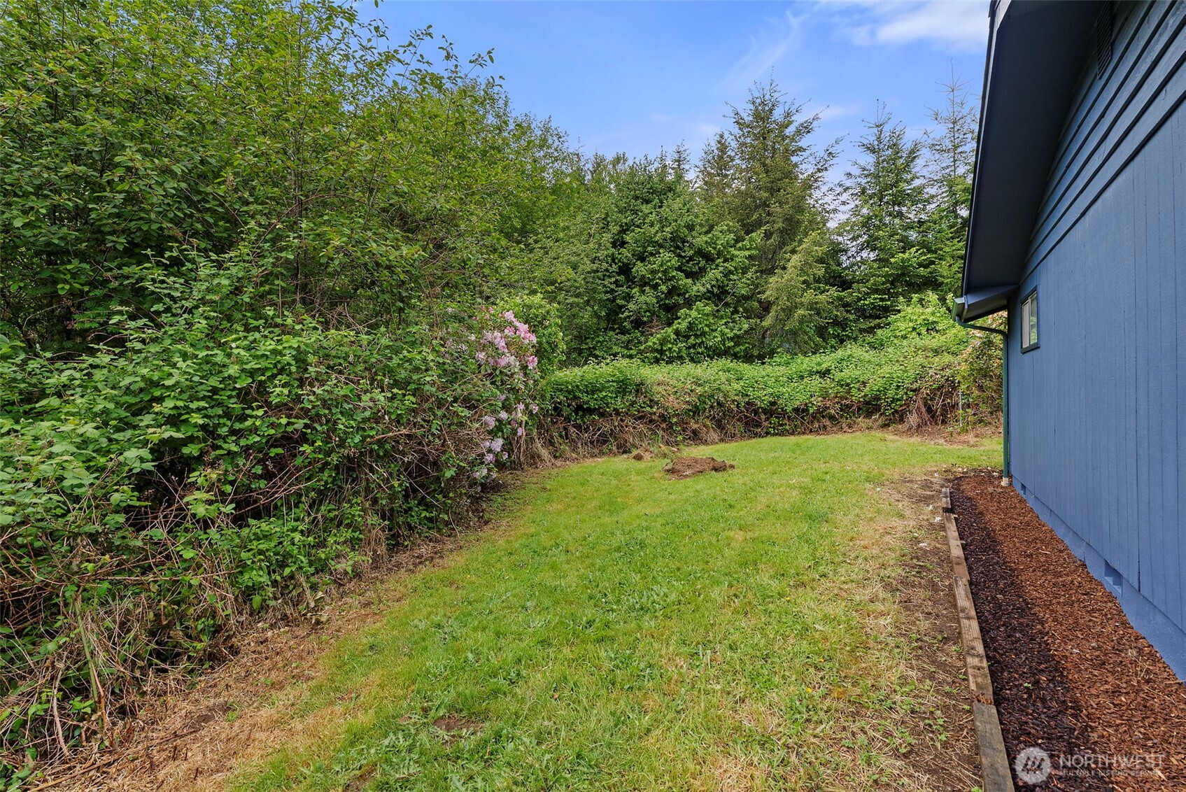 626 Ostman Road Raymond, WA 98577 - Photo 23 of 29 a view of a yard with plants and a tree