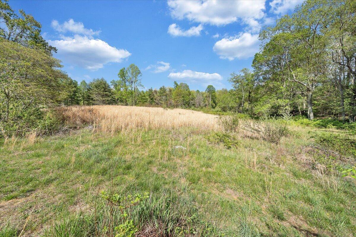 1547 Kings Store Road Northeast Check, VA 24072 - Photo 42 of 68 46-MIB07336