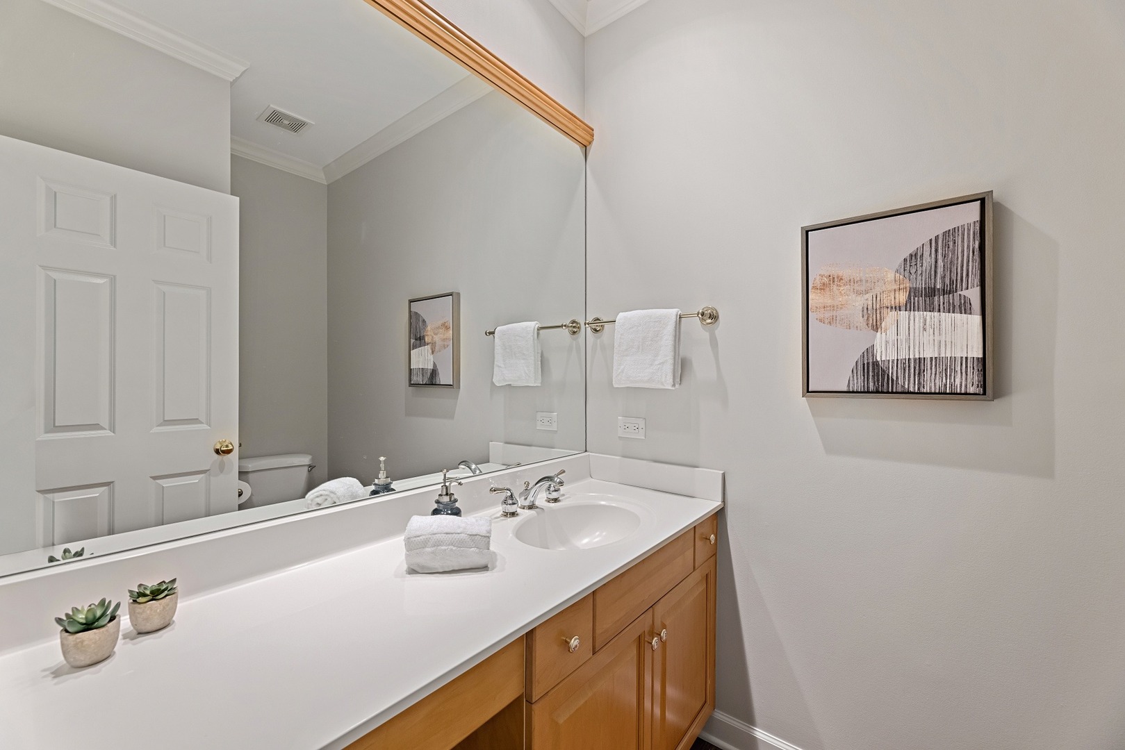 950 Shermer Road Northbrook, IL 60062 - Photo 15 of 32 a bathroom with a sink and a mirror