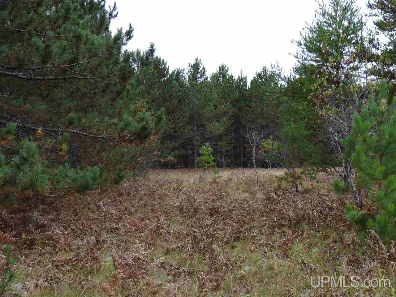 Tbd Traprock Valley Road Calumet, MI 49913 - Photo 10 of 17