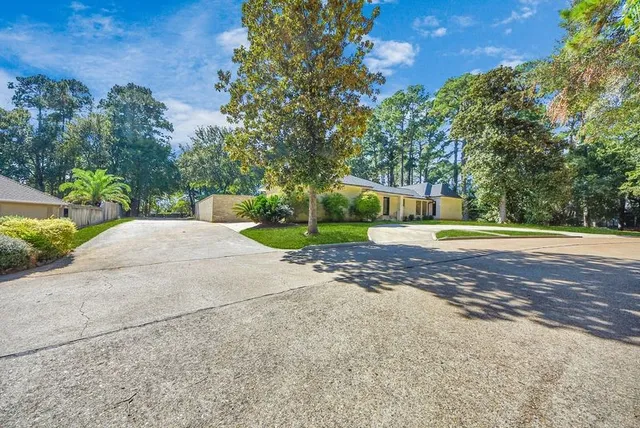 a view of a yard with plants and trees