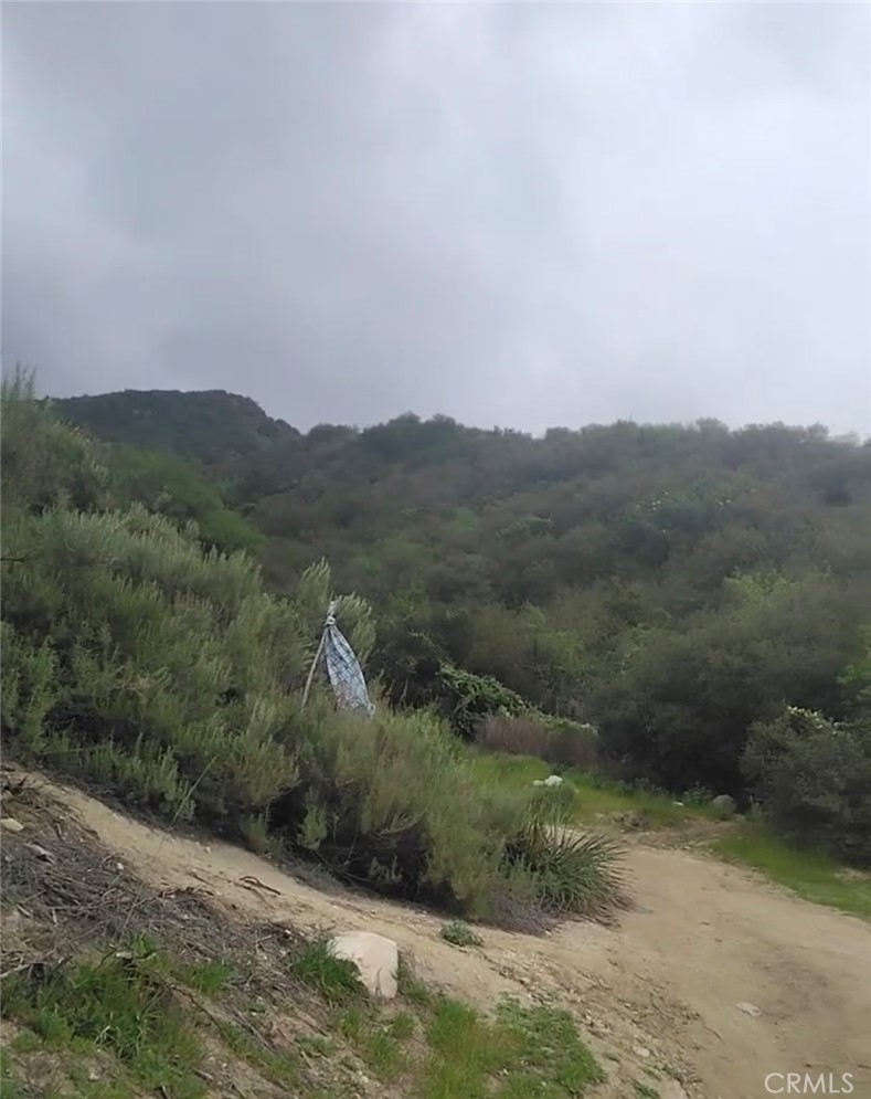 10157 Durkee Avenue Tujunga, CA 91042 - Photo 14 of 14 use google earth map walking distance