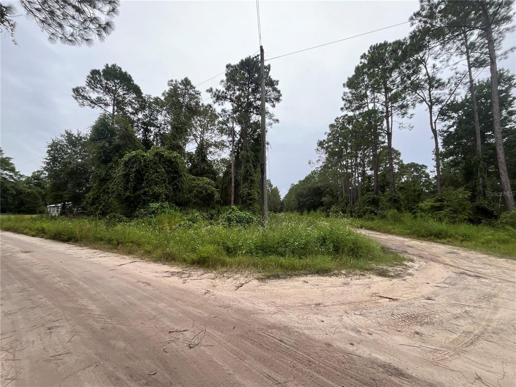 Hickory Nut Trail Satsuma, FL 32189 - Photo 3 of 8 a view of a yard with plants and a large tree