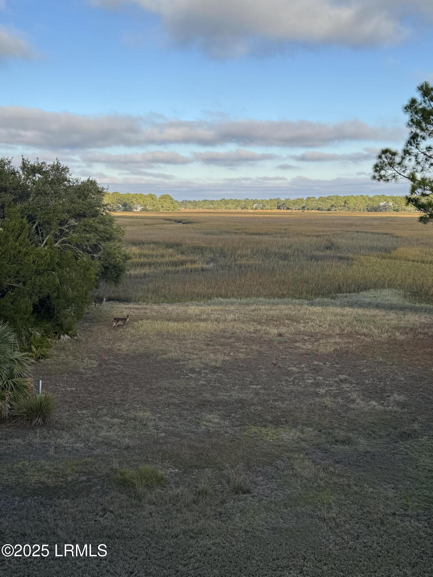 813 Speckled Trout Road Fripp Island, SC 29920 - Photo 25 of 33 IMG_7931