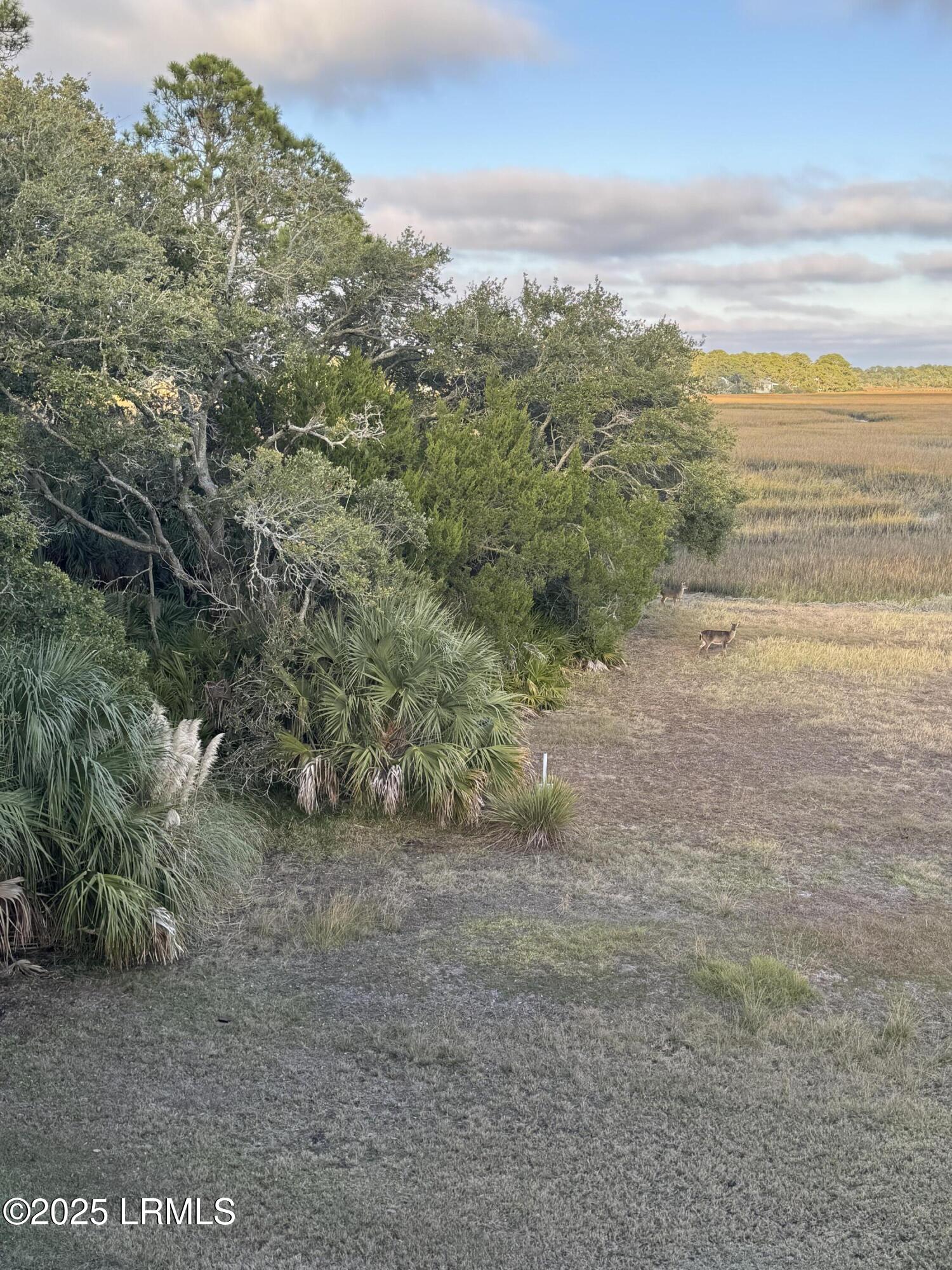 813 Speckled Trout Road Fripp Island, SC 29920 - Photo 26 of 33 IMG_7930