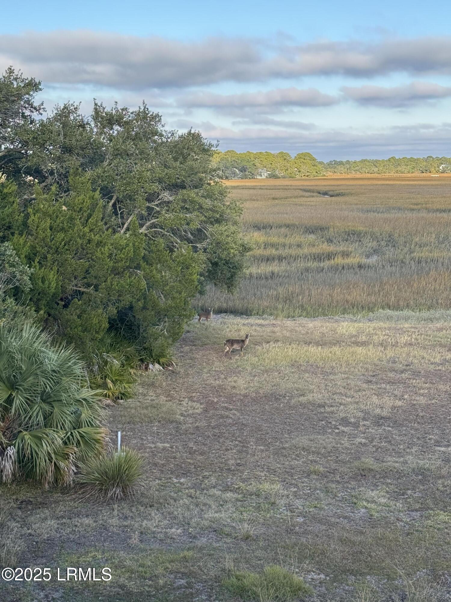 813 Speckled Trout Road Fripp Island, SC 29920 - Photo 27 of 33 IMG_7928