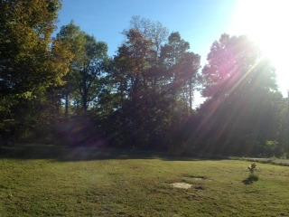 475 Whites Ridge Road Parksville, KY 40464 - Photo 15 of 32 Photo 15