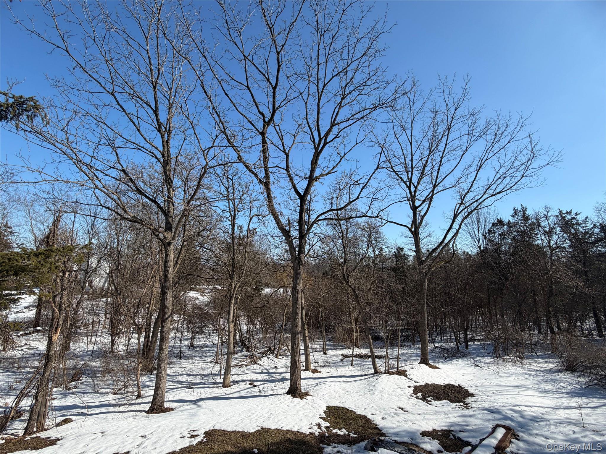 8874 Rte 9W Athens, NY 12015 - Photo 37 of 48 view from back deck