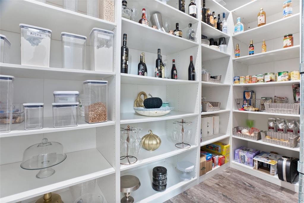 1317 Spring Lake Circle Ocoee, FL 34761 - Photo 11 of 61