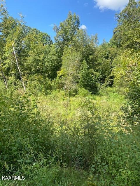 1 County Road 675 Riceville, TN 37370 - Photo 2 of 6 Gallery Image 2