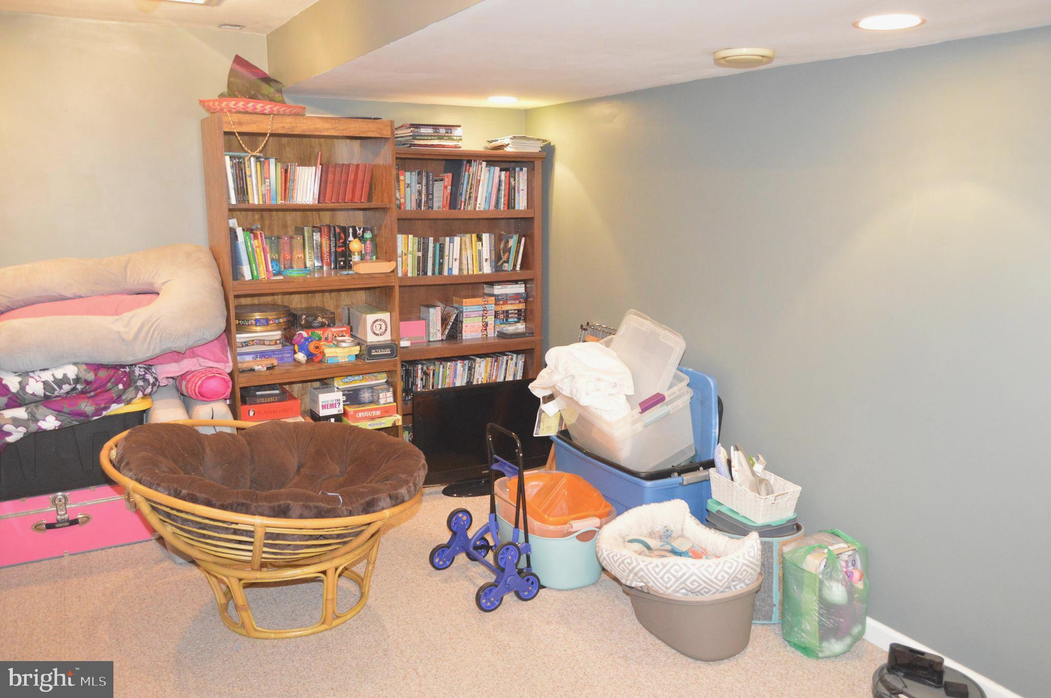 11-5 Cranberry Ridge Reading, PA 19606 - Photo 10 of 27 Finished Lower Level