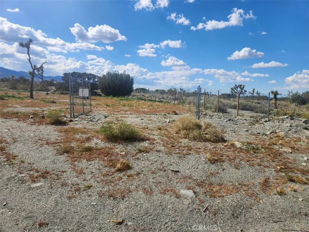 2647 Minero Road Pinon Hills, CA 92372 - Photo 2 of 11 a view of a yard