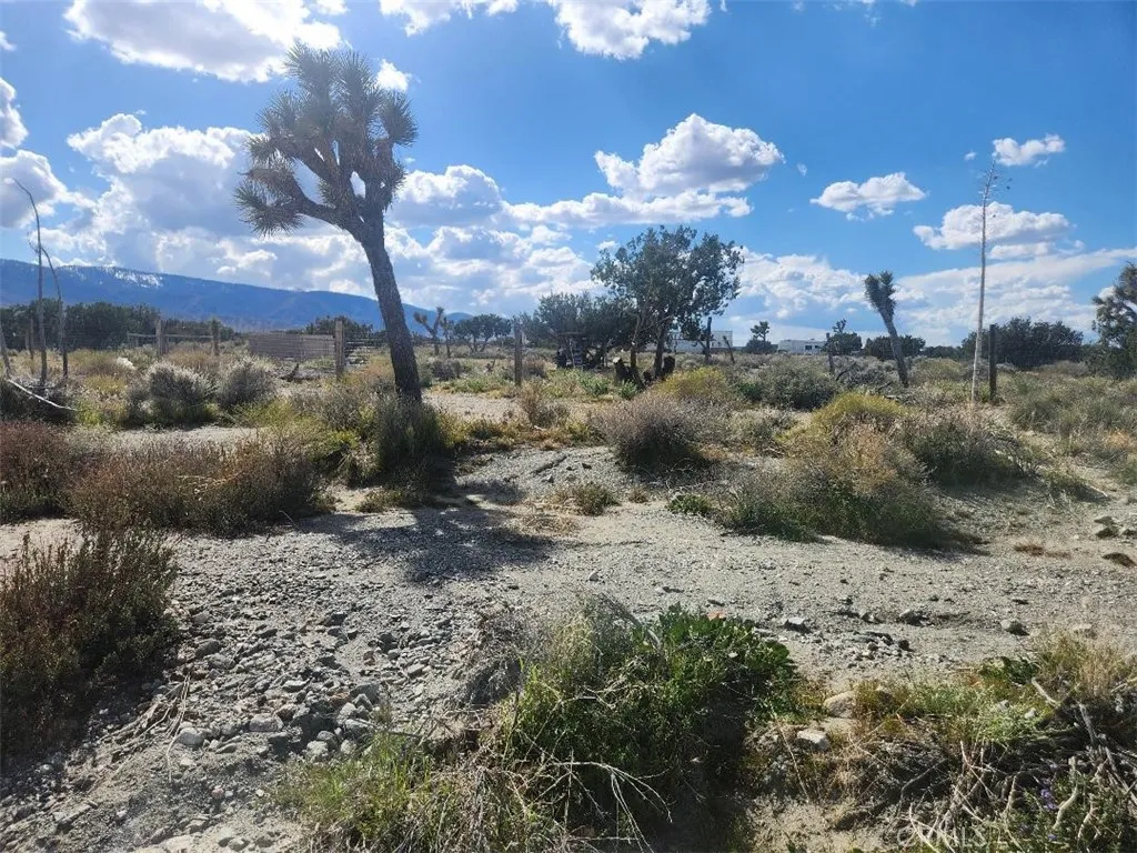 2647 Minero Road Pinon Hills, CA 92372 - Photo 6 of 11 a view of a dry yard with lots of green space