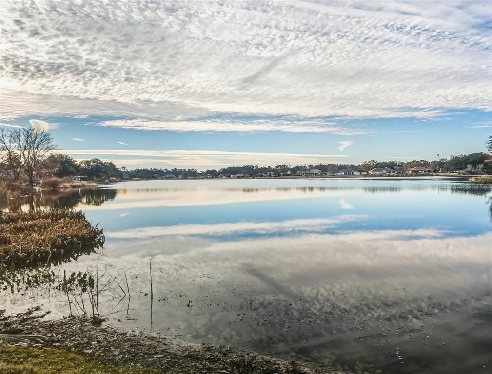 77 Hickory Loop Ocala, FL 34472 - Photo 32 of 45