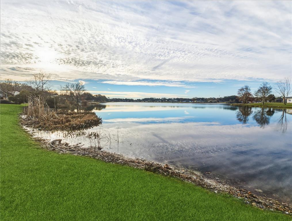 77 Hickory Loop Ocala, FL 34472 - Photo 35 of 50 a view of a lake with houses in the back