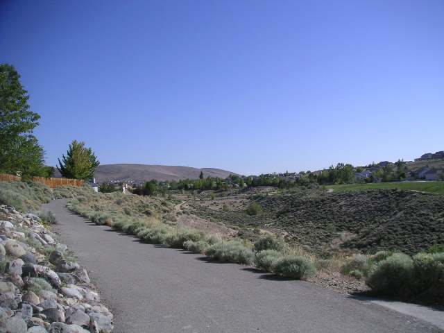5728 Simons Drive Reno, NV 89523 - Photo 4 of 4 a view of a road with a forest in the back
