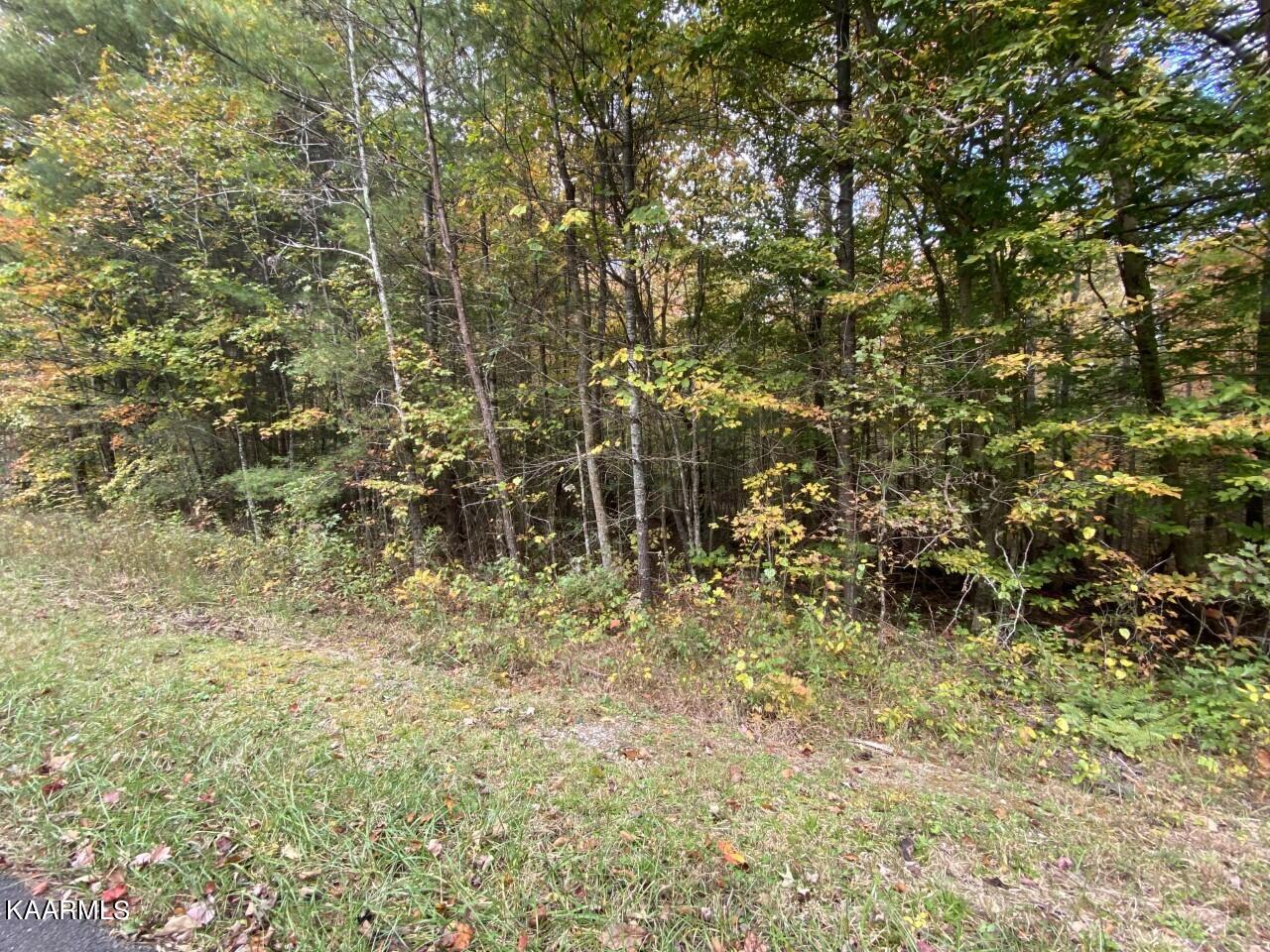 2 Deermont Road Wartburg, TN 37887 - Photo 2 of 7 Tract 2