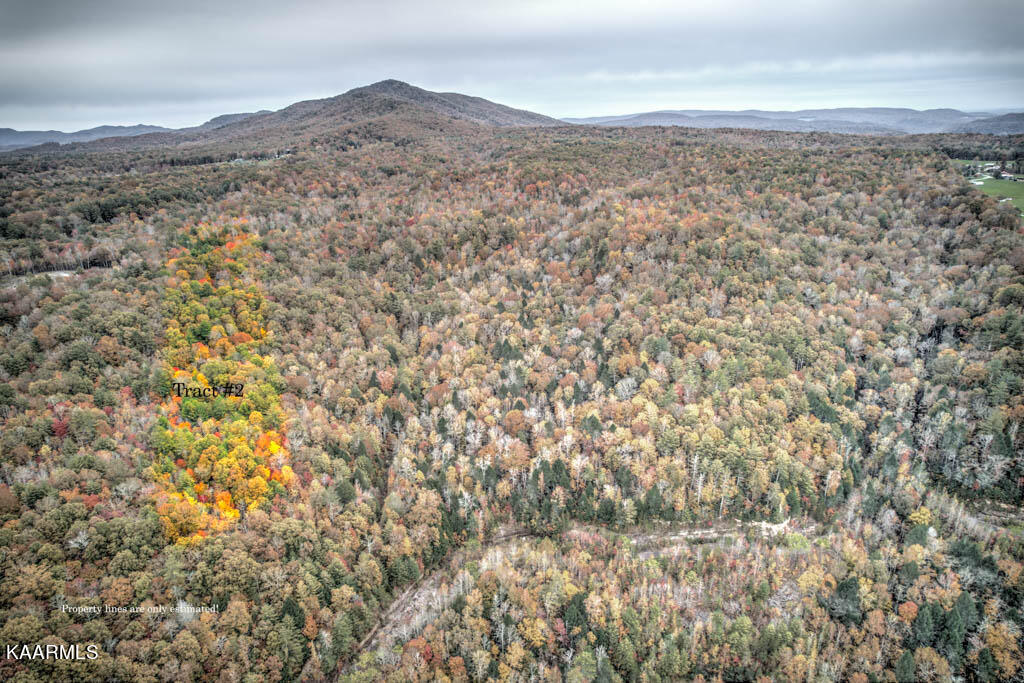 2 Deermont Road Wartburg, TN 37887 - Photo 6 of 7 Tract 2