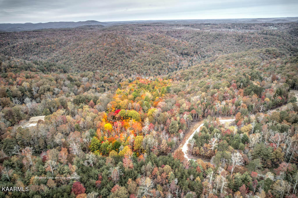 2 Deermont Road Wartburg, TN 37887 - Photo 7 of 7 Tract 2