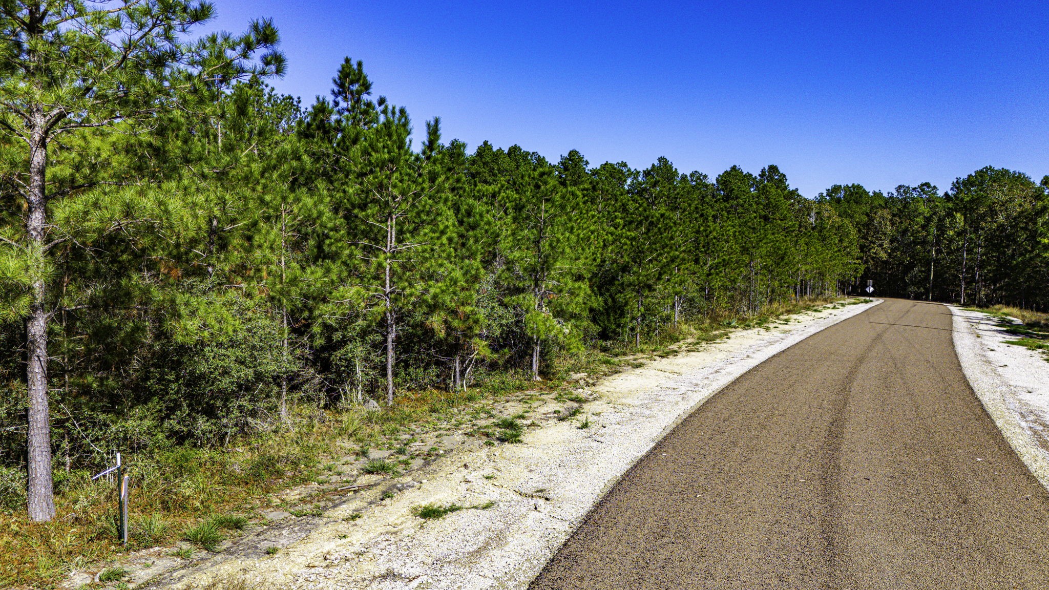 16 King Ranch Road South Onalaska, TX 77360 - Photo 6 of 10 a view of a yard with trees