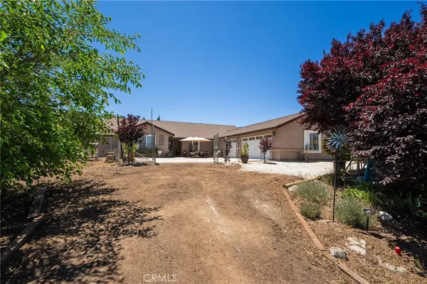 a front view of a house with a yard and a large tree