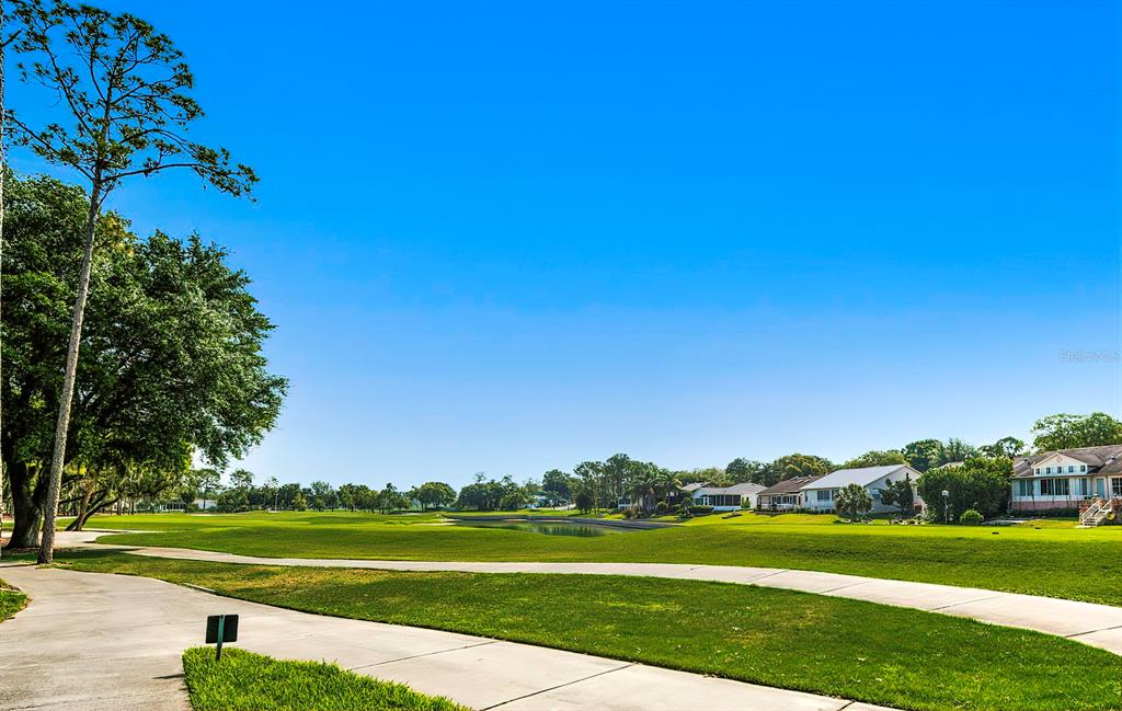 6517 Ocean Pines Lane Spring Hill, FL 34606 - Photo 55 of 72 a view of a big yard with swimming pool and green space