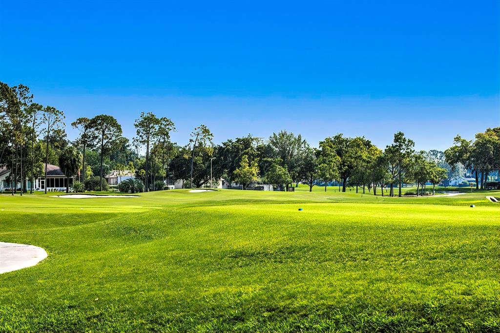 6517 Ocean Pines Lane Spring Hill, FL 34606 - Photo 57 of 72 a view of a big yard with a large trees and plants