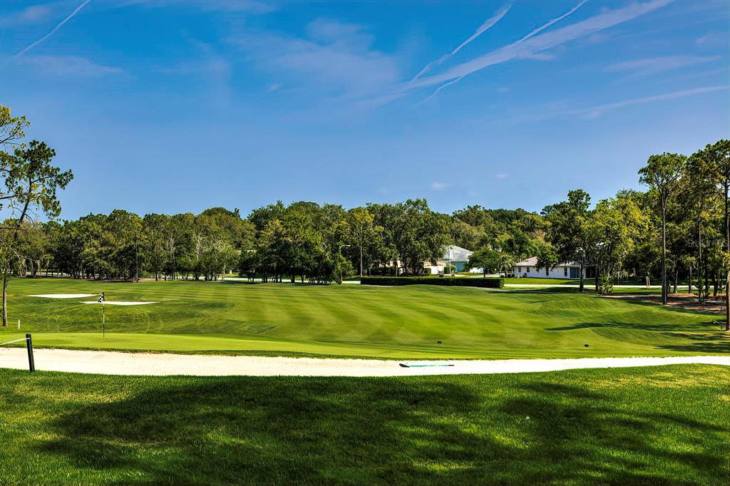 6517 Ocean Pines Lane Spring Hill, FL 34606 - Photo 65 of 72 a view of a golf course with a lake