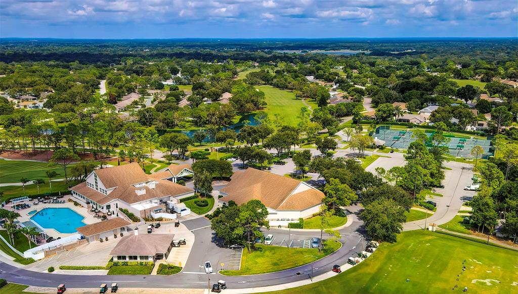 6517 Ocean Pines Lane Spring Hill, FL 34606 - Photo 70 of 72 a view of a lake with a city