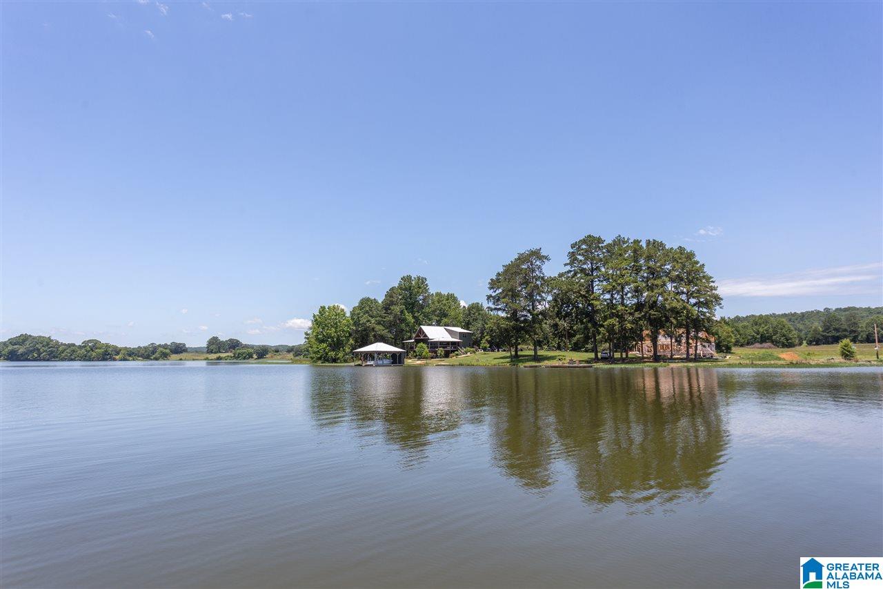 10350 Greensport Road Ashville, AL 35953 - Photo 47 of 50