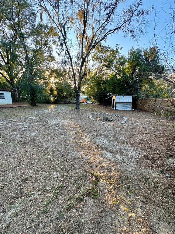 13906 Raulerson Road Riverview, FL 33569 - Photo 27 of 31