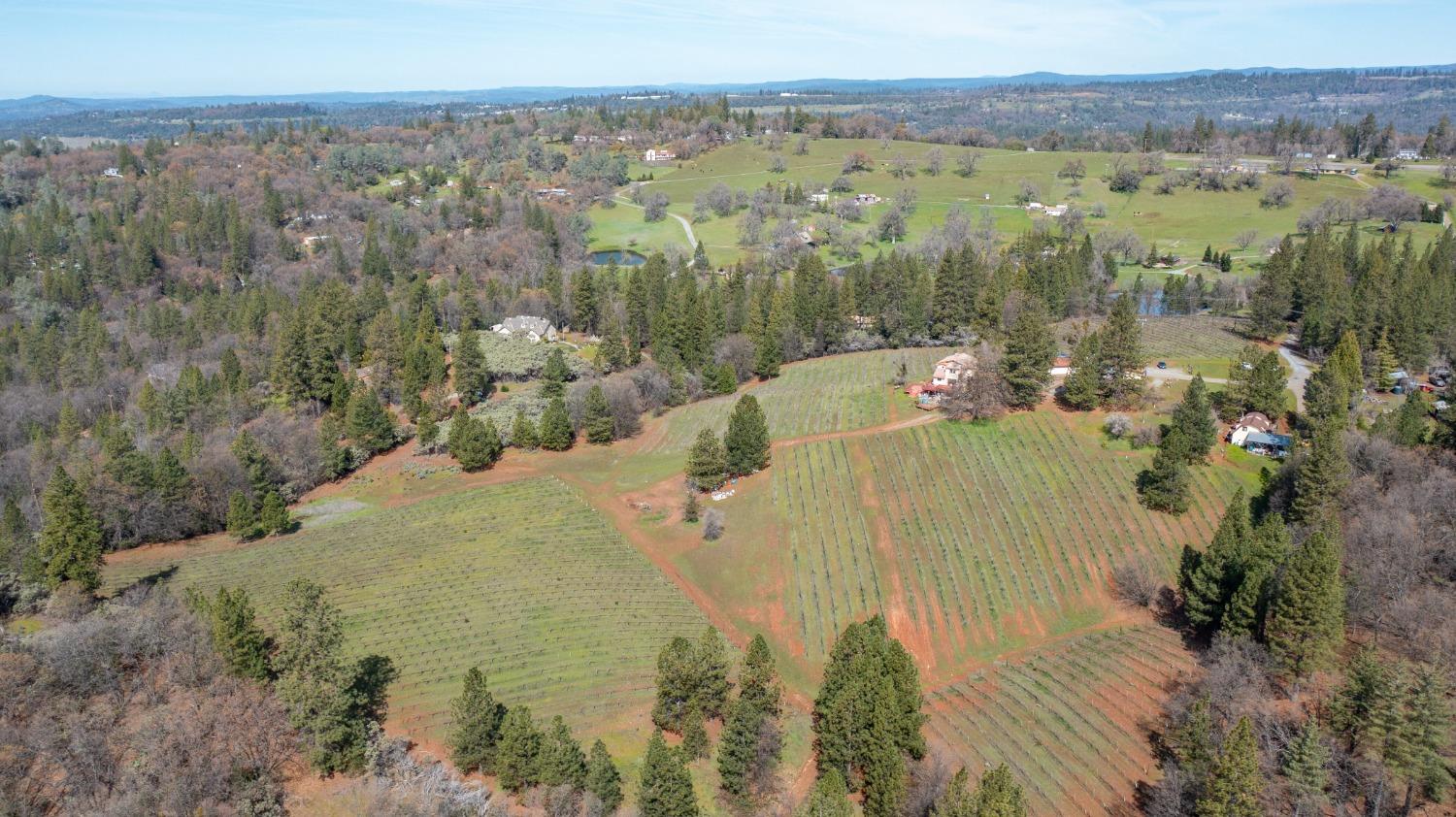 4771 Greenhills Road Placerville, CA 95667 - Photo 66 of 71 Gallery Image 66