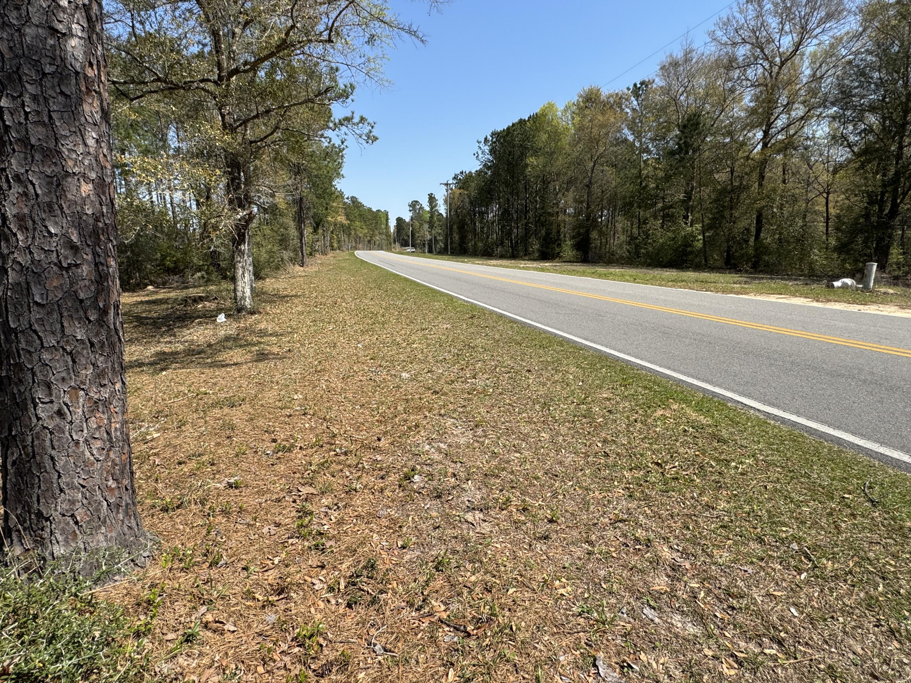 486 Pleasant Ridge Road DeFuniak Springs, FL 32435 - Photo 14 of 14 IMG_3269