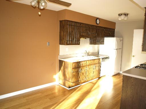 228 East Woodlawn Road, Unit 23 New Lenox, IL 60451 - Photo 4 of 12