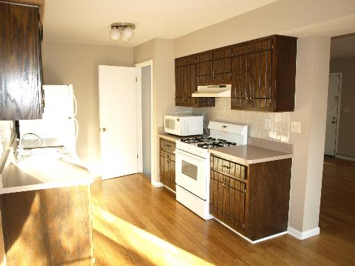 228 East Woodlawn Road, Unit 23 New Lenox, IL 60451 - Photo 5 of 12