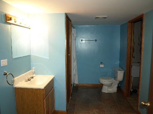 228 East Woodlawn Road, Unit 23 New Lenox, IL 60451 - Photo 7 of 12
