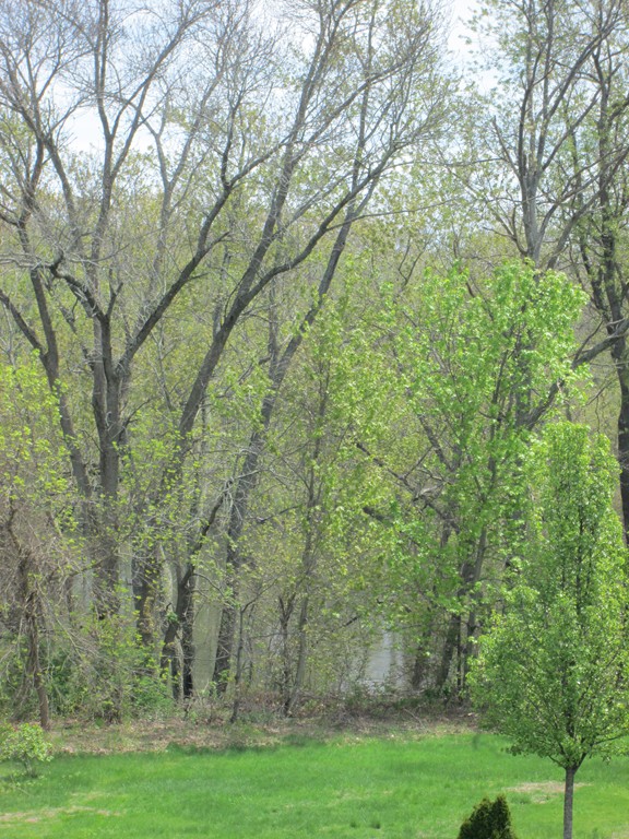 21 Rivers Edge Place Methuen, MA 01844 - Photo 9 of 17 Gallery Image 9