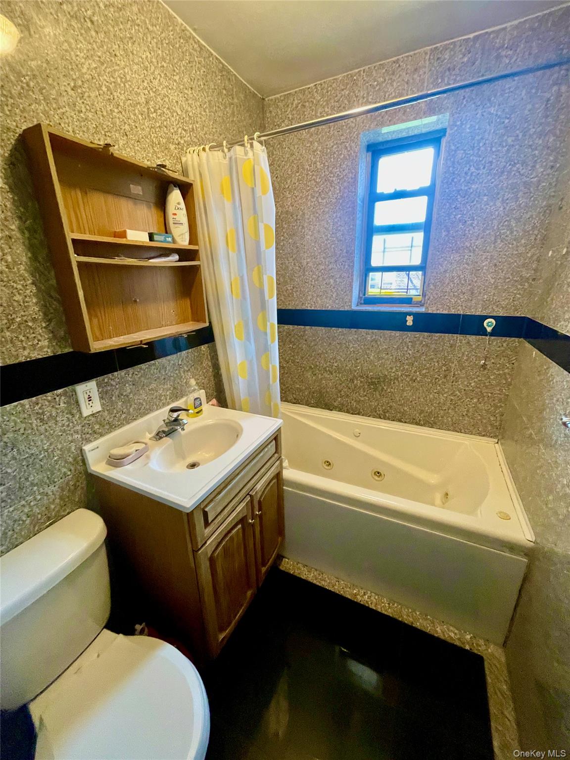44-25 Macnish Street, Unit 5B Queens, NY 11373 - Photo 11 of 19 a bathroom with a sink a toilet and a bathtub