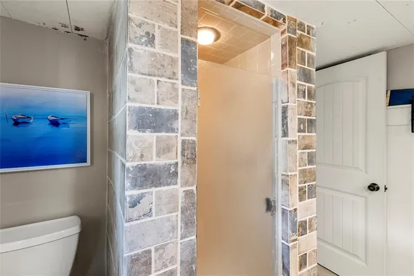 a bathroom with a shower and a toilet