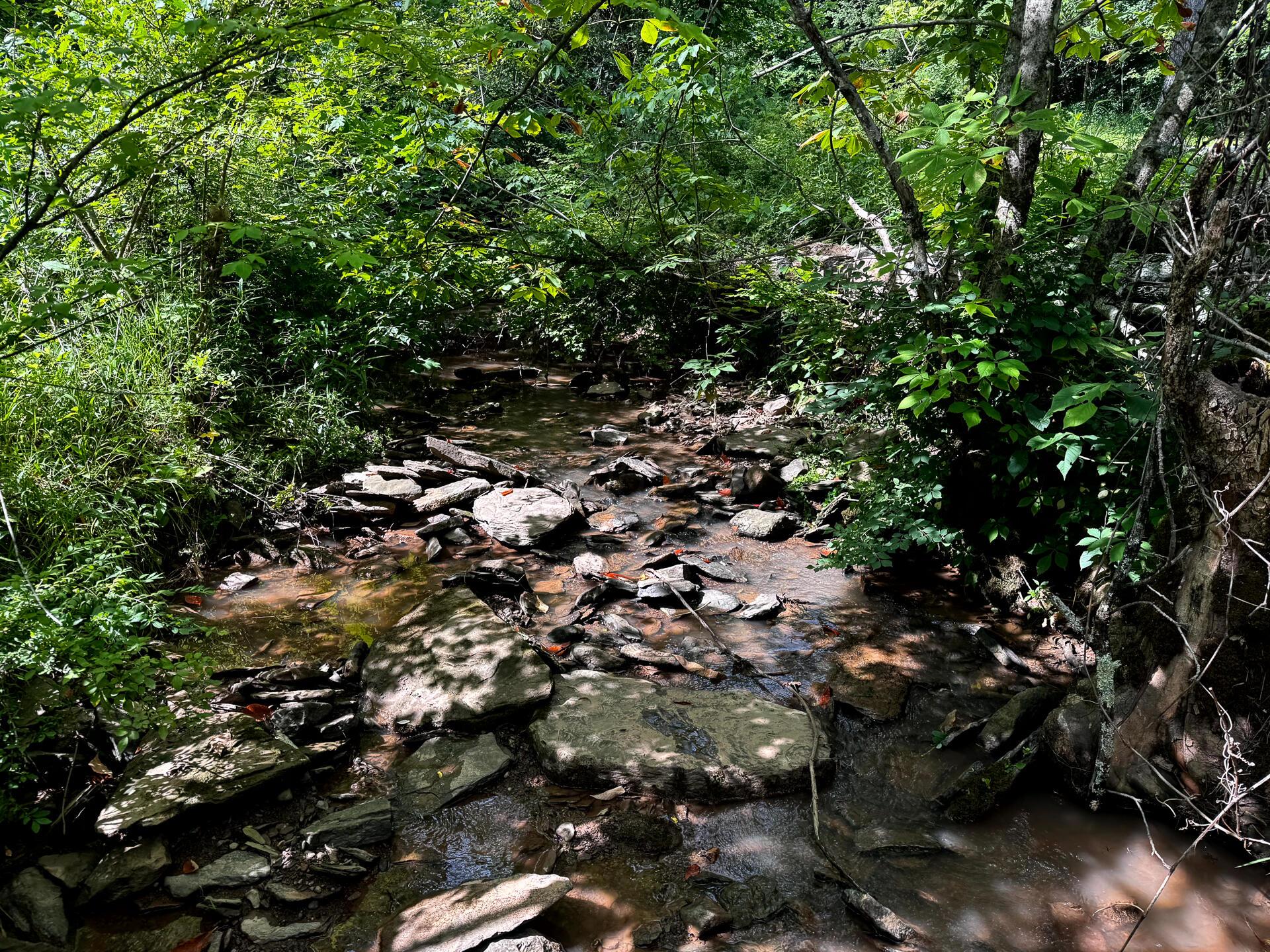 0 Barr Hollow Road, Unit OHIO RIVER RETREAT TRACT 3) Reedsville, OH 45772 - Photo 28 of 29 CT-28