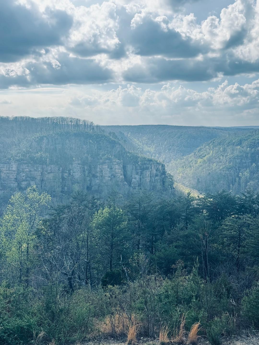 1034 Montlake Road Soddy Daisy, TN 37379 - Photo 11 of 45 montpic