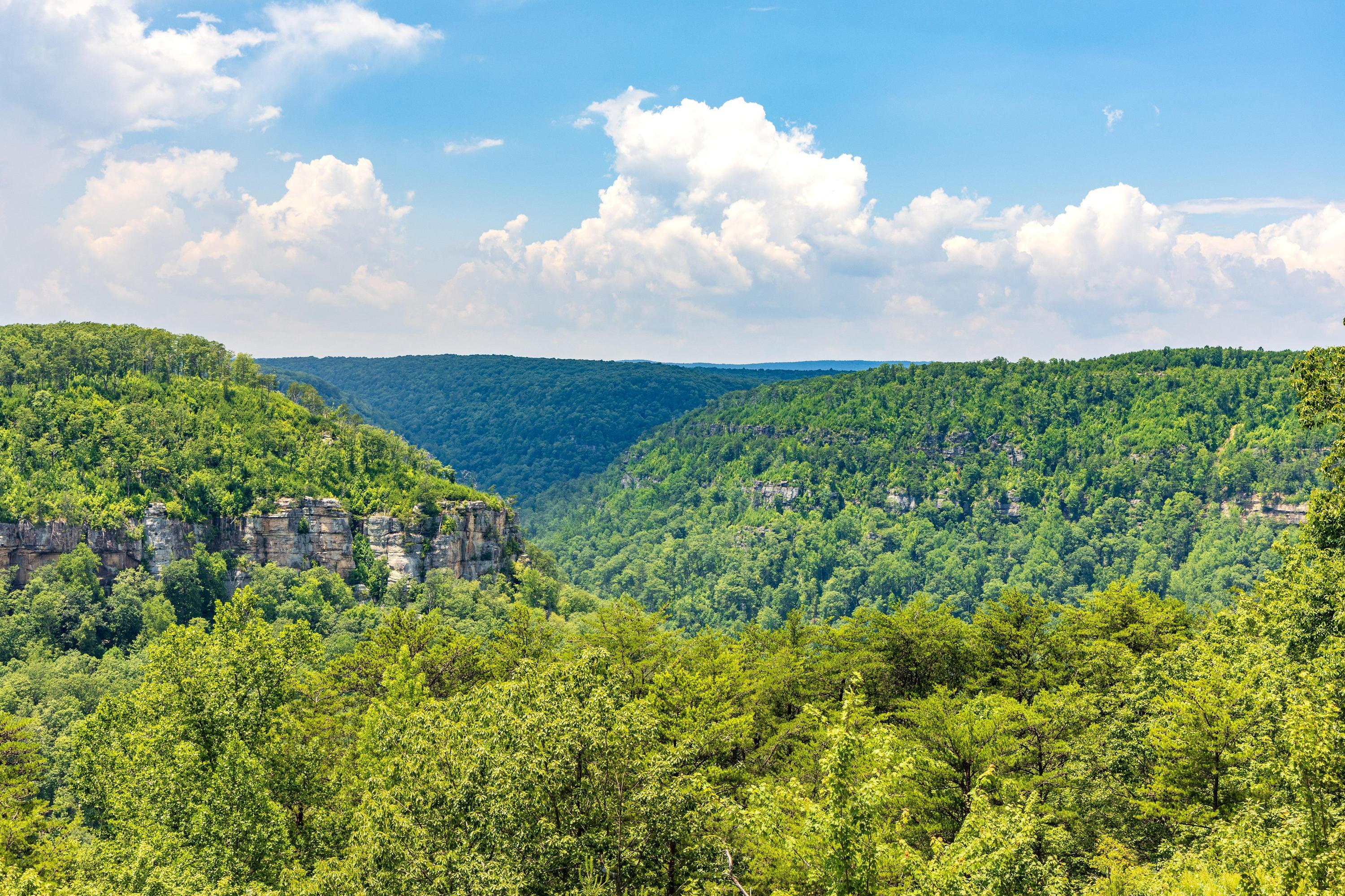 1034 Montlake Road Soddy Daisy, TN 37379 - Photo 3 of 45 2025_07_July_1034_Montlake_Rd_0006