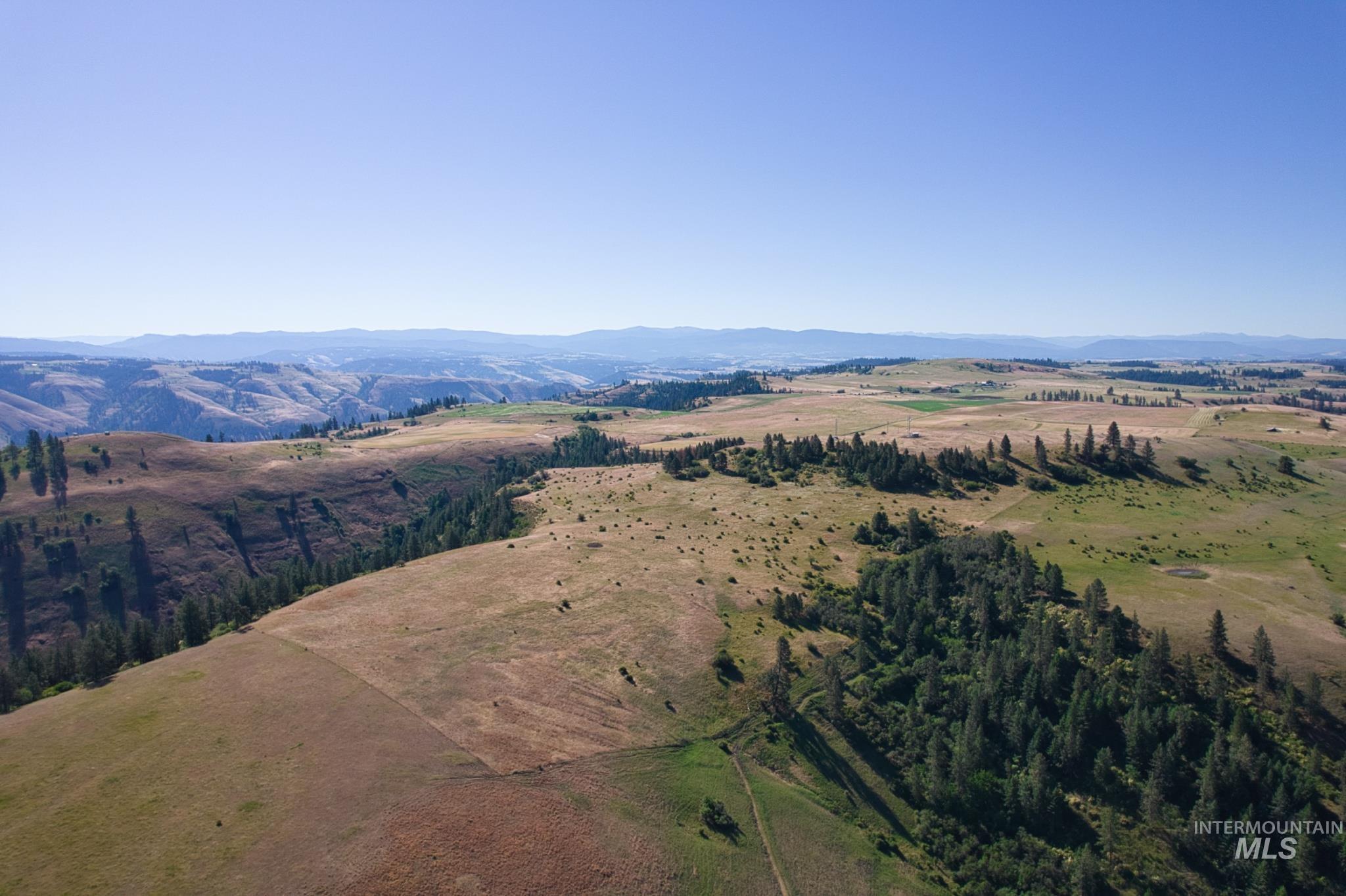 Doty Road Kamiah, ID 83536 - Photo 15 of 19