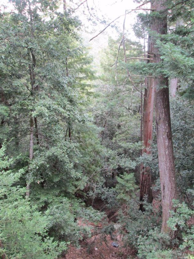 46101 Fish Rock Road Gualala, CA 95445 - Photo 1 of 1 a aerial view of a house with lots of trees