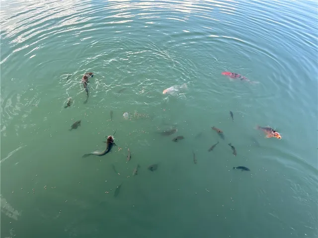 $290,000 | 10477 County Road 23, Hume, NY 14735