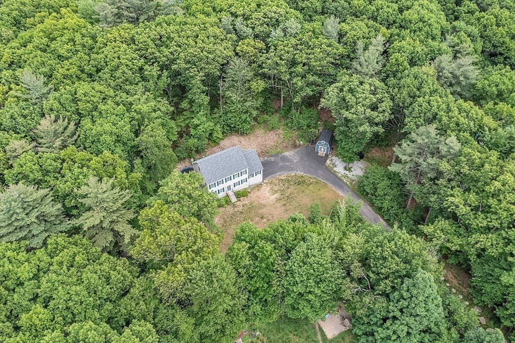 35 Willard Road Westminster, MA 01473 - Photo 34 of 36 a view of a garden with a tree